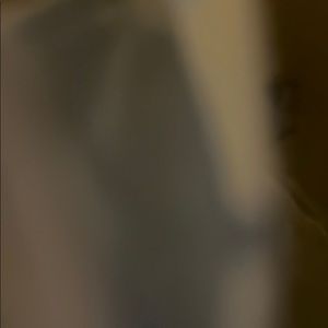 Meet your Posher, Lily